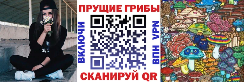 Галлюциногенные грибы MAGIC MUSHROOMS Темрюк